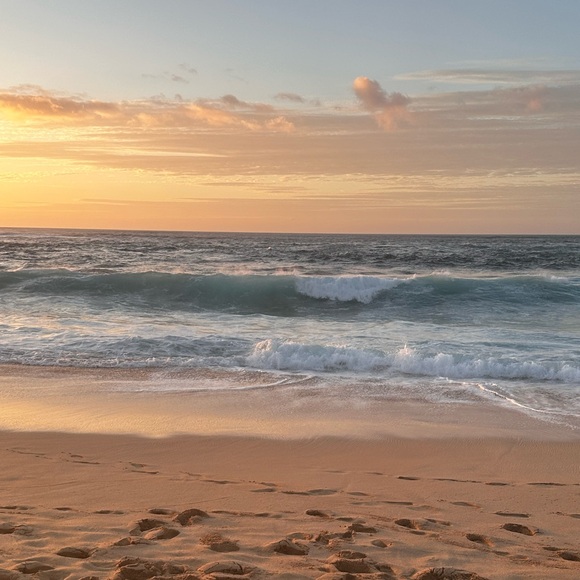 Meet your Posher, C - Picture 1 of 1